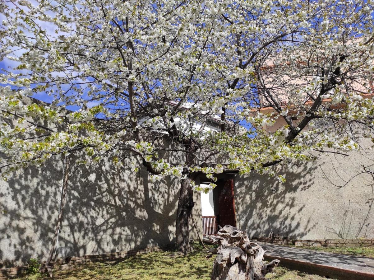 Antica Dimora Palazzo Rovitti Panzió Cerchiara di Calabria Kültér fotó